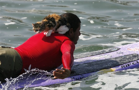 �����-����������