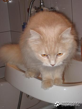 Напакостили, а теперь делаем ноги... :)