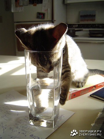 ����� - �����, ����� - ��� :)