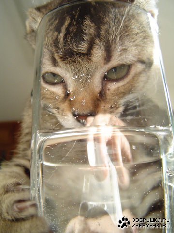 ����� - �����, ����� - ��� :)