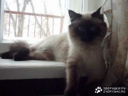 ��� �������� :)