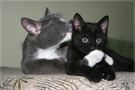 � ��� � ���� ��������! :)