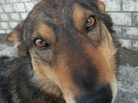 ������ ���� ������� :)