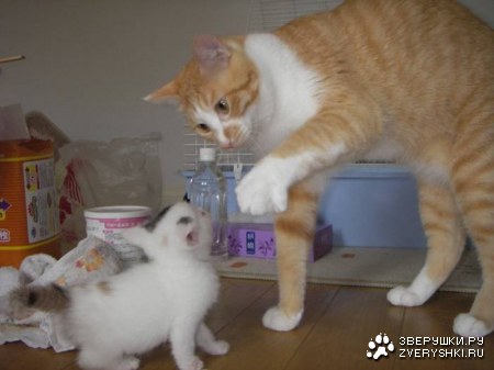 �� �� ������ �������! ;)