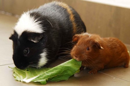 ���� � � ���������, �� �� ������ ����! :)