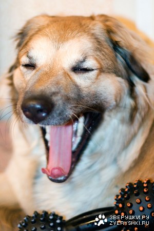 ���� � ����� (10 ����������)