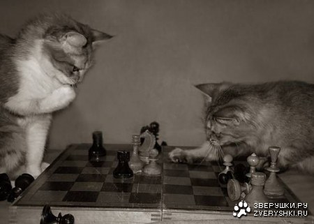 ������� ������? :)