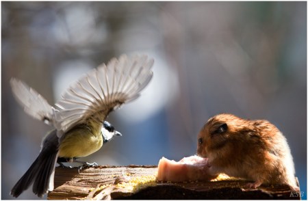 � ��� ����! �� ���� ������� :)