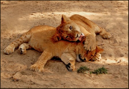 ������� ������ :)