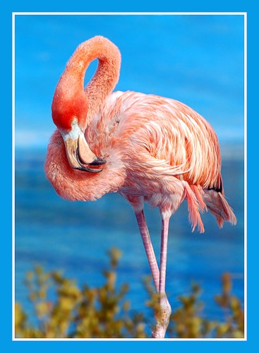 �������� (7 �������� ����������)