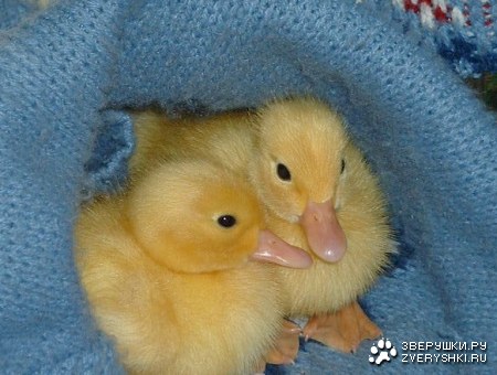 ��������� ����� :)