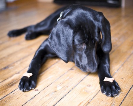 ��� �� �������?! :)