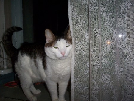 ���������� ������� �������!