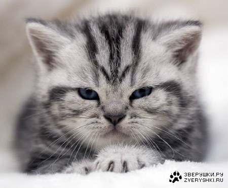 ������� ��� ���! ;)