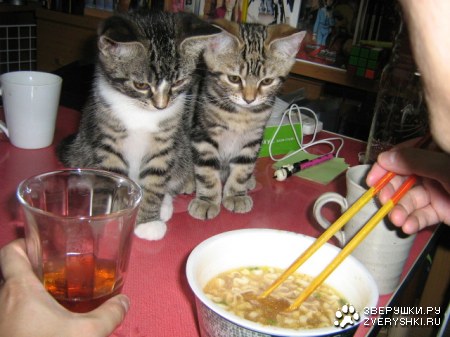 ����� ��������! :)