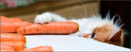 ���-�� ����, ��� ����������! :)