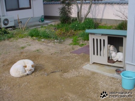 ��� ������� � �����? :)