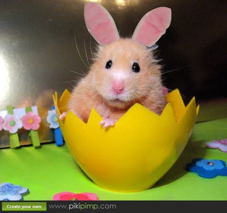 ������� � ������ :)