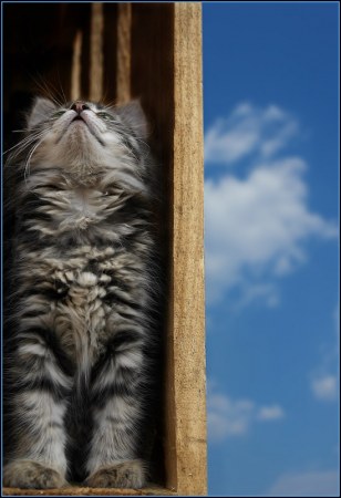 ������� ��� �� ����� ;)