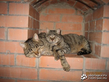 ���� ���� � � ��� ���� :)