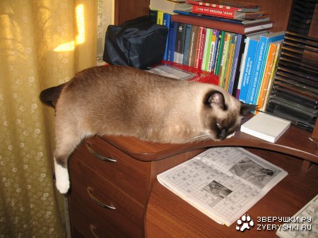 ���� ���������� (8 ����������)