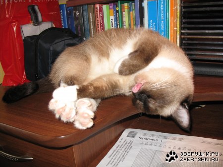 ���� ���������� (8 ����������)