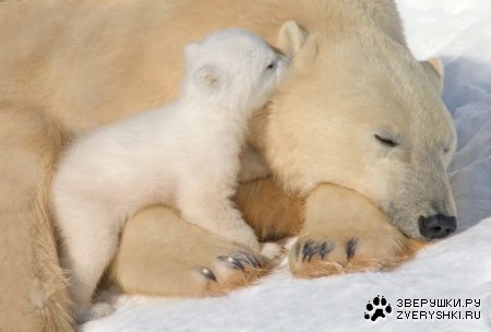 �� ������� ������ ���� :)