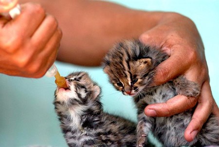 ������������� �������� :)