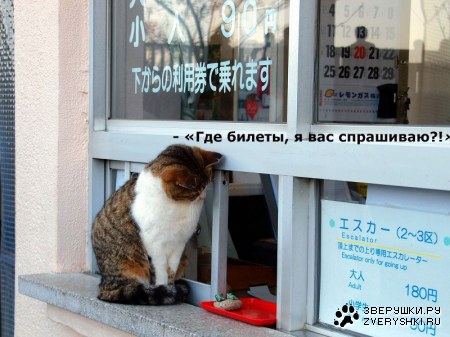 ����� �� ����� :)