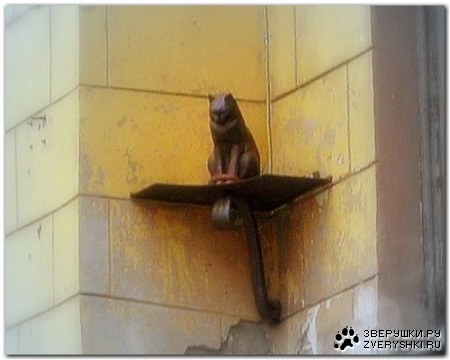 �������� "�������� ����"