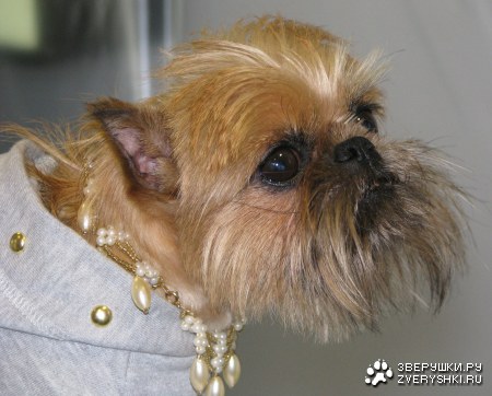 �������� ����� � ������� (11 ����������)