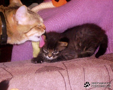 ���, �� �� ����� �� ������ ����������?! :)