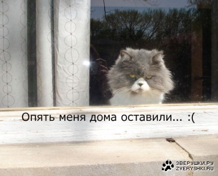 �� �������...