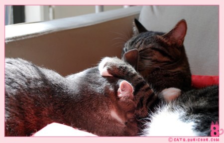 ������� ������� :)