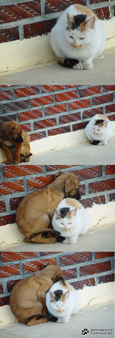 Погрей меня! ;)