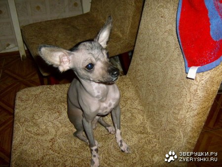 ��� ���� :)