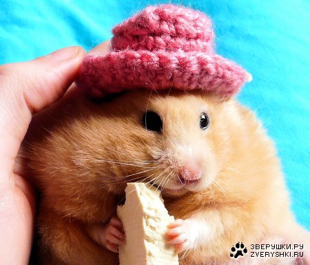 ����� �� ���������? :)