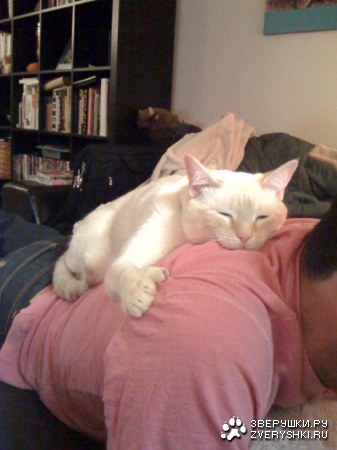 � ���� ������ �� �����! :)