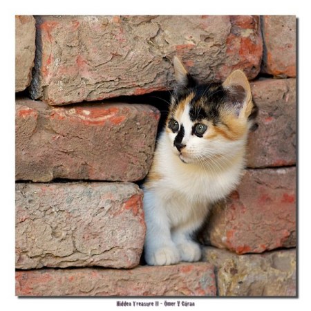 ��������� ����� :)