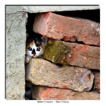 ��������� ����� :)