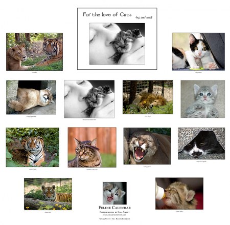 ������ �� ������� :)