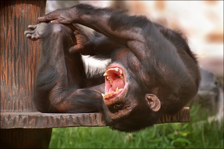 ����� ���������� ������� ;)