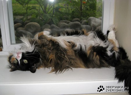 ��������� ������ ;)