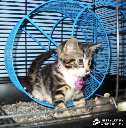 ���� ���� ��������! :)