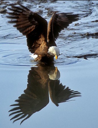 �������� �������� ���� (6 ����������)