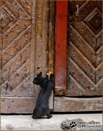 ������� ���� ������������! :)