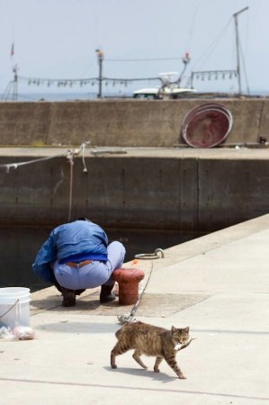 �������� ������� :)