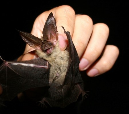 ������� ����� :)