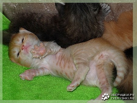 ��������� ������ �� ��������� ������