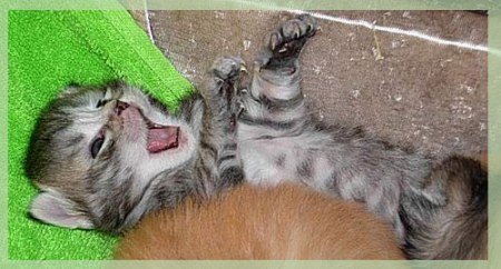 ��������� ������ �� ��������� ������